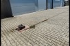 HALAMAGACIN NA ODLICNA LOKACIJA VO INDZIKOVO