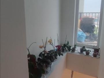Sell Apartment in   Taftalidze 2