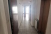 Rent Apartment in   Centar