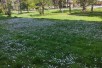 Sell Apartment in   Karposh 3