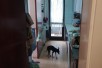 Sell Apartment in   Karposh 3