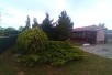 Rent House in   Pintija