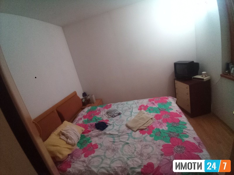 Rent House in   Pintija